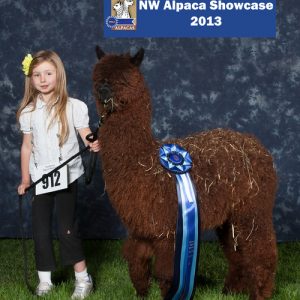 Youth and Alpaca Sponsors for Show Season