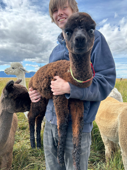 Name the Cria