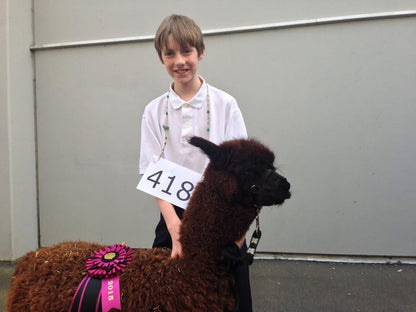 Youth and Alpaca Sponsors for Show Season