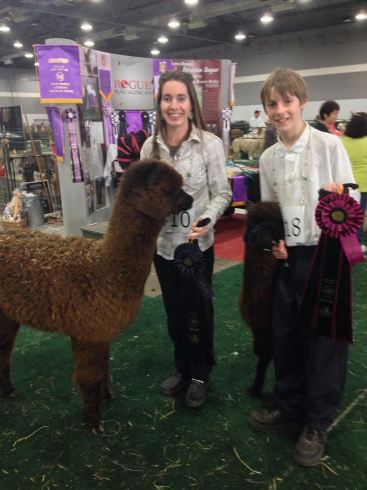 Youth and Alpaca Sponsors for Show Season