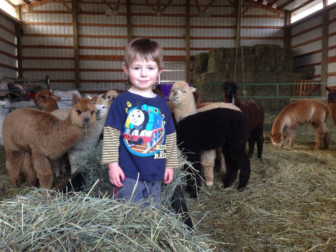 Youth and Alpaca Sponsors for Show Season