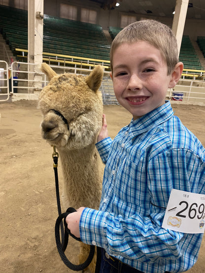 Youth and Alpaca Sponsors for Show Season