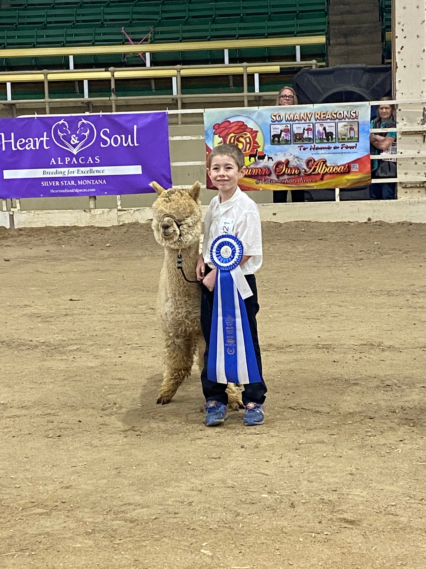 Youth and Alpaca Sponsors for Show Season