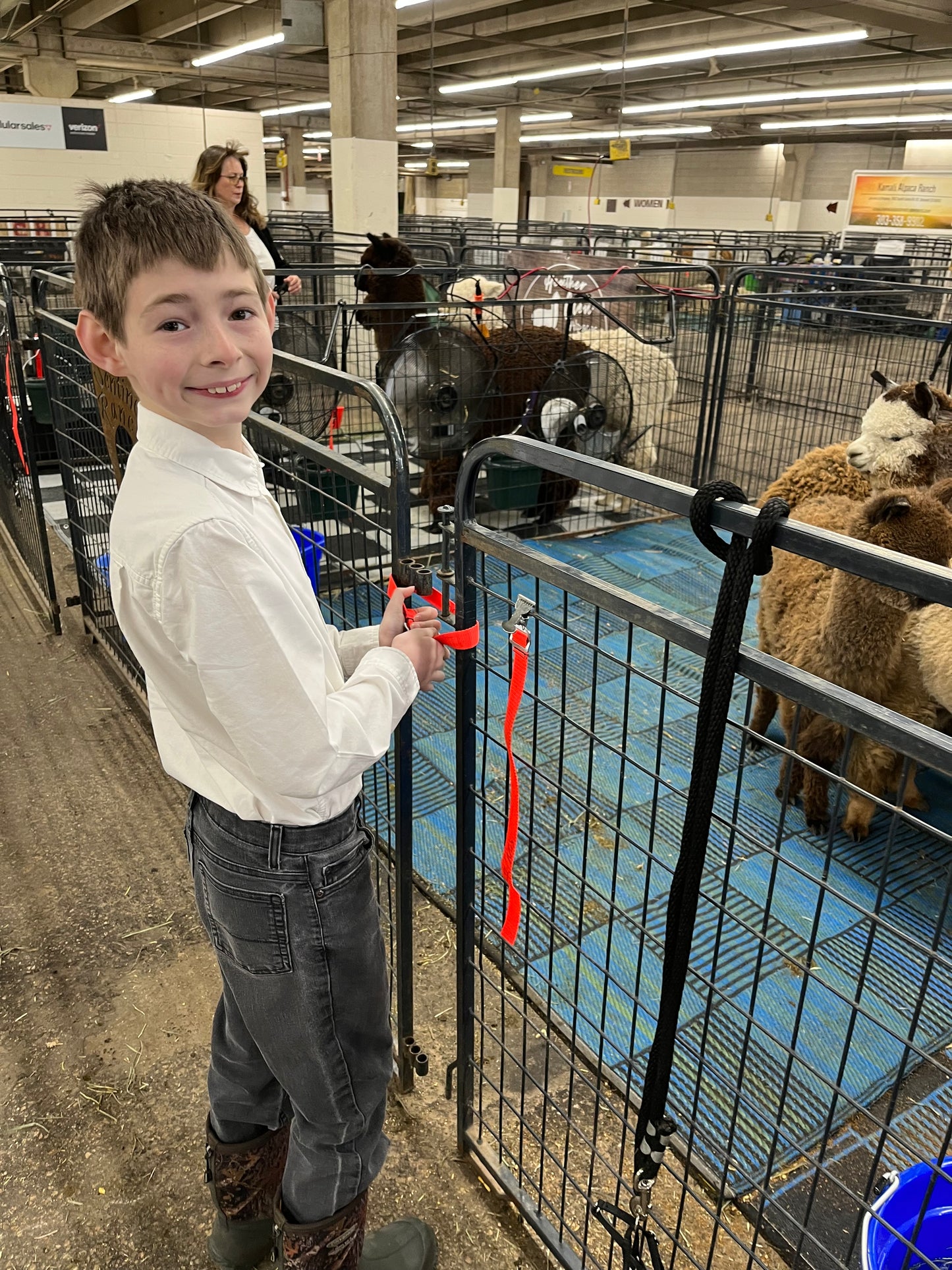 Youth and Alpaca Sponsors for Show Season