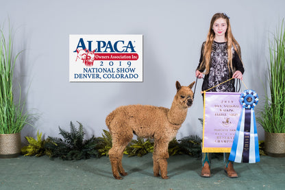 Youth and Alpaca Sponsors for Show Season